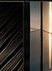 Carbon material